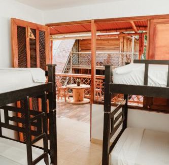 Palomino Casa | Hostal Casa Celeste