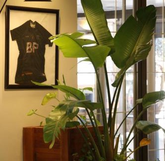 Solsona Casa | Hostal Crisami