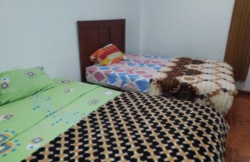 Nazca Casa | Hostal hipito