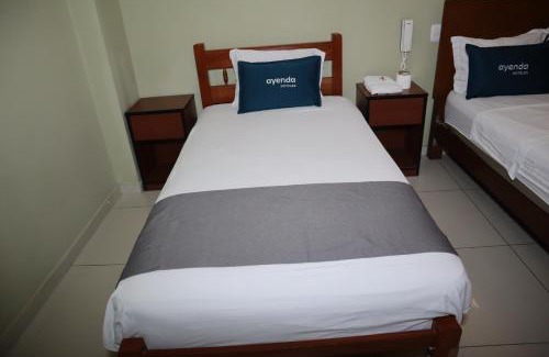 Lince Casa | Hostal ISIS