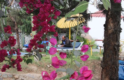 Ica Casa | Hostal Loma Blanca