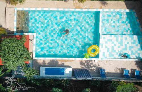 Palomino Casa | Hostal Luz de Luna