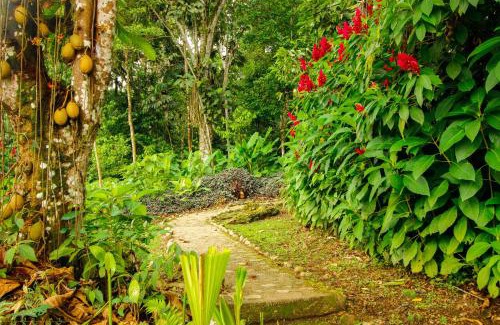 Tena Casa | Hostal Pakay