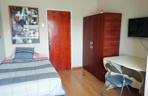 Concepcion Casa | Hostal Vivo Concepción