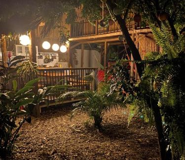 Palomino Casa | Hostal Zinpar