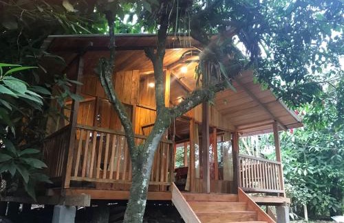 Mindo Hotel | Hostería los Cedros de Mindo