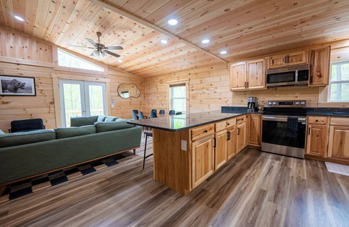 Shenandoah Cabina | Hot Tub, Sauna, Game Room, Fire Pit, EVSE