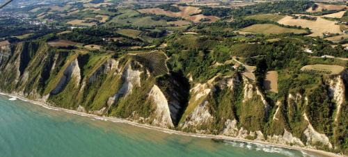 Gabicce Mare Hotel | Hotel Adler