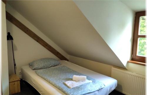 Destne v Orlickych horach Hotel | Hotel Alba