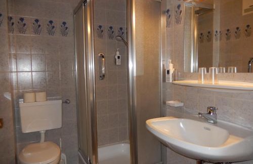 Bad Hofgastein Hotel | Hotel Alpina - Thermenhotels Gastein