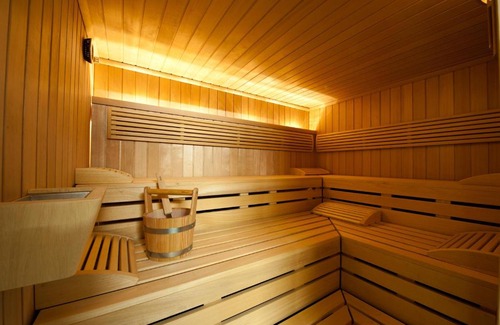 Saanen Hotel | Hotel Alpine Lodge