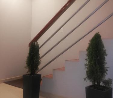 Cusco Hotel | Hotel Apu Kempor