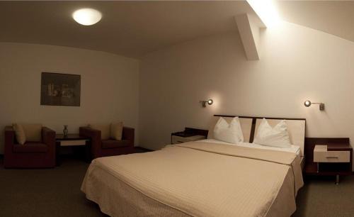 Sector 1 Hotel | Hotel Baneasa Parc