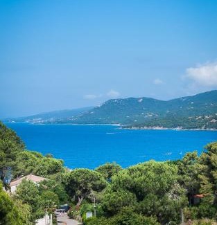 Propriano Hotel | Hotel Bartaccia