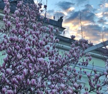Botosani Hotel | Hotel Belvedere