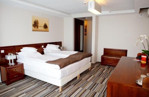 Botosani Hotel | Hotel Belvedere