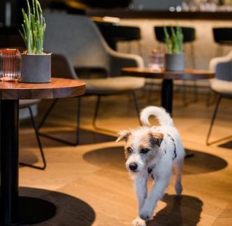 Grossarl Hotel | Hotel Bergzeit