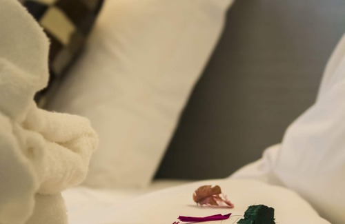 Mafamude Hotel | Hotel Black Tulip - Porto Gaia