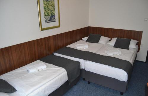 Branik Hotel | Hotel Bohemians