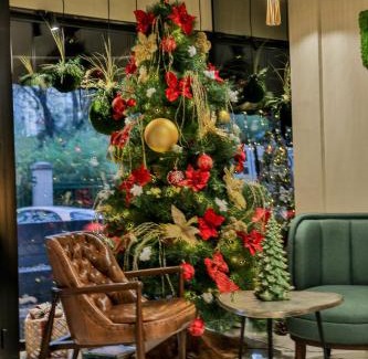 Palilula Hotel | Hotel Botanica