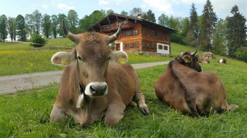 Oberstdorf Hotel | Hotel Cafe Fuggerhof