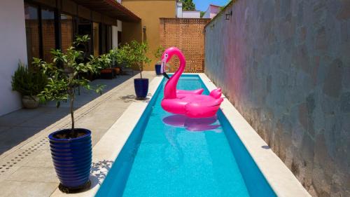 San Pedro Hotel | Hotel Casa Corazón Malinalco