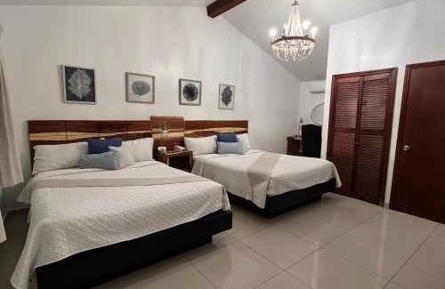 Zona Centro Hotel | Hotel Casa del Sol