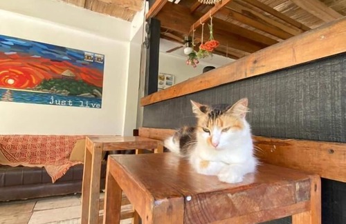 Palomino Complejo | Hotel Casa Kai