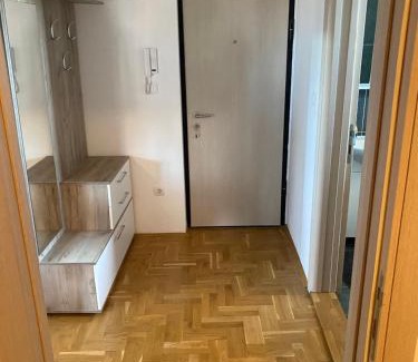Gornji Milanovac Apartamento | Hotel centar