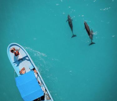 Punta Allen Cabina | Hotel Cielo y Selva
