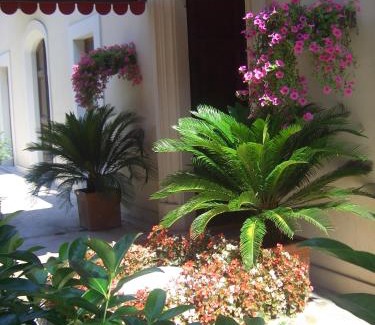 Francavilla al Mare Hotel | Hotel Claila