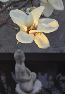 Wangfujing Shopping Area Hotel | Hotel Cote Cour Deductive Beijing - Quadrangle close to Tiananmen Square & Forbidden City & Nanluoguxiang, Walk to Wangfujing, English speaking, Free WiFi, Free Laundry, Free Wonton & Noodles with Tour ticket service, Free selfies with ancient costume