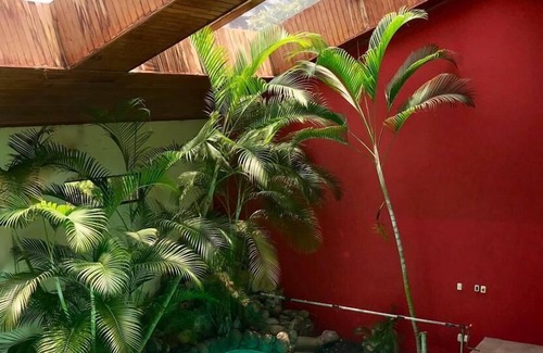 Antigua Guatemala Hotel | Hotel Donde Picho