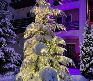 Predeal Hotel | Hotel Draga Maria