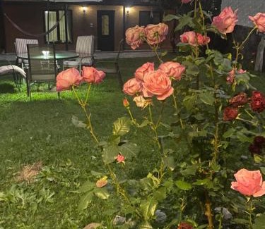 Gergeti Hotel | Hotel Elegant