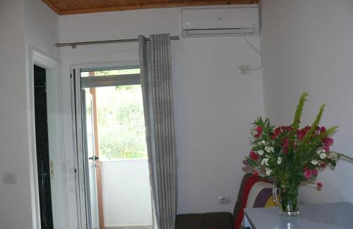 Qazim Pali Apartamento | Hotel Erviliano
