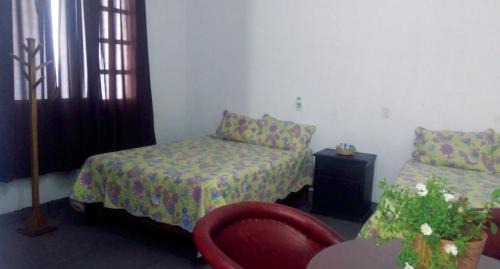 Tamasopo Casa | Hotel Falcon
