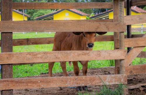 Pindamonhangaba Casa | Hotel Fazenda Pé da Serra