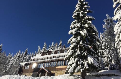Vitkovice Hotel | Hotel Flora Dolní Mísečky