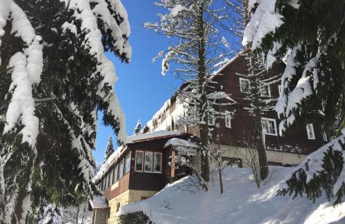 Vitkovice Hotel | Hotel Flora Dolní Mísečky