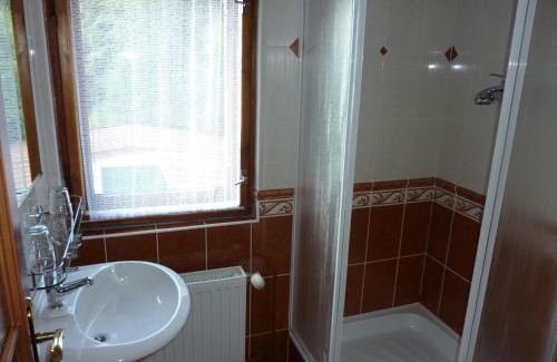 Vitkovice Hotel | Hotel Flora Dolní Mísečky