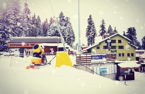 Borovets Hotel | Hotel Forest Star on the Ski Slope