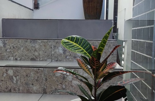 Conceicao Do Coite Apartamento | HOTEL GALICIA