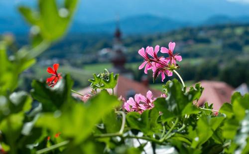 Velden am Worther See Casa | Hotel Garni Frühstückspension Neff