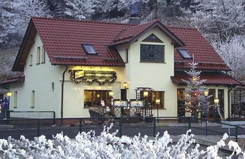 Zella-Mehlis Hotel | Hotel & Gasthaus Sterngrund