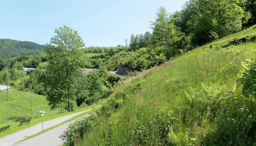Oppenau Casa | Hotel - Gasthof Blume