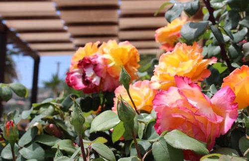 Scopello Hotel | Hotel Grotticelli