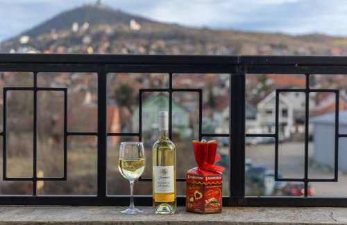 Vrsac Hotel | Hotel Helvecija 1880