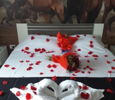 Hunedoara Hotel | Hotel Hobby