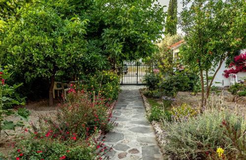 Archangelos Casa | Hotel Ikaros
